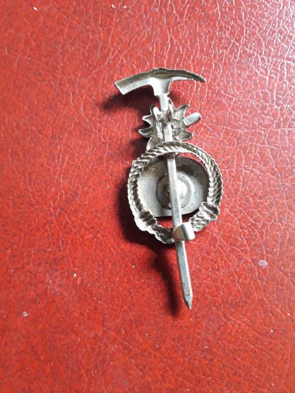 Swiss   pin badge