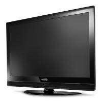 51" inch Plasma TV