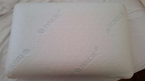 SEALY POSTUREPEDIC My Memory Pillow - Like New