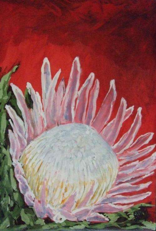 ***Acrylics - Protea on red - 20 x 30.5cm - Sonja Peacock***