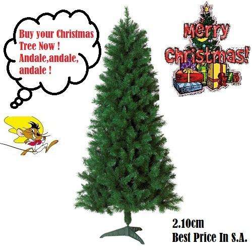 Buy your Christmas Tree Now ! (2.10 cm ) The Best Price in S.A !