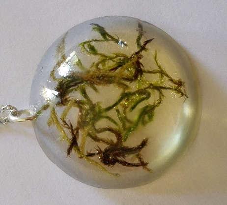 Handmade Preserved moss resin pendant with free chain