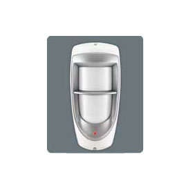 OUTDOOR MOTION DETECTOR BEAM