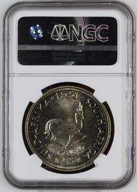 Superb 1951 5/- NGC PF66