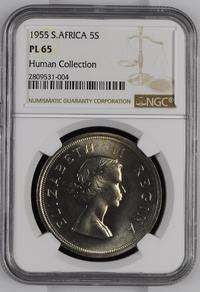 1955 South African PL65 Crown