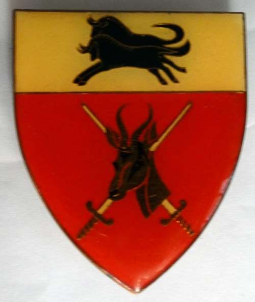 South African Army Natal Command Shoulder Flash (pins reattached)
