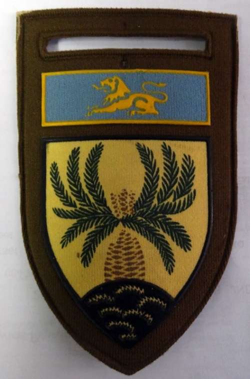 ## 4th SAIBattalion With Eastern Command Bar  Side Slip on Shoulder Flash  ##