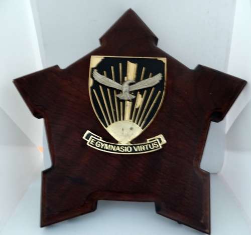 Airforce Gymnasium Plaque 22cm high