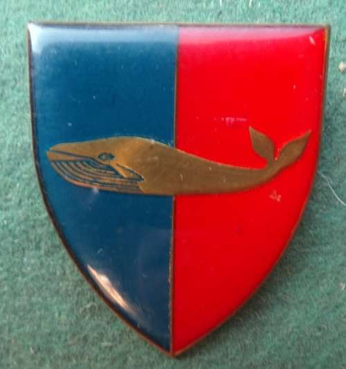 Regiment Walvis Bay TDK Flash 2 pins (15)