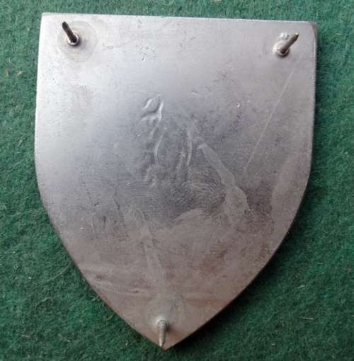 Regiment Cape Flash 3 pins (34)