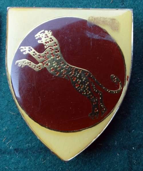 SADF 911 Battalion Flash 3 pins (61)