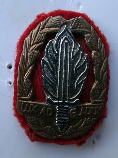 SADF SA Army Intelligence School Bi Metal Cap Badge. Pins intact (0)