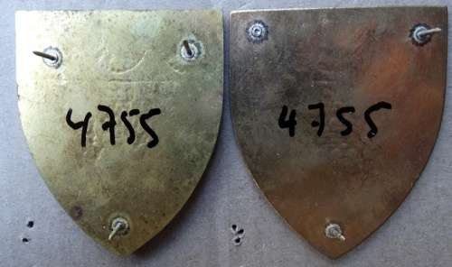 Pair Of SADF Regiment East Rand  Flash.  5 Pins intact (8)
