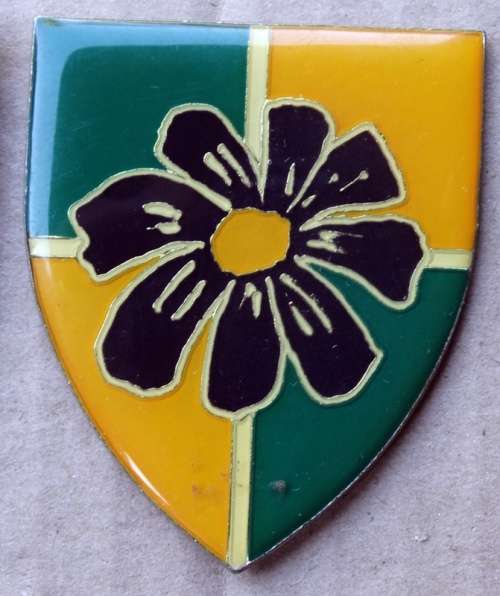 SADF Group 12 HQ Flash. Pins intact (53)