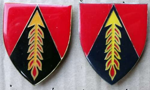 Pair of SADF  Regiment Eastern Transvaal Flash. Pins intact (55)