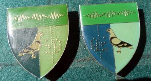 Pair Of  2 Signals Regiment Flashes . Pins Intact (18)