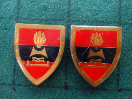 Pair of SADF 2 Field Engineers  Flashes Pins Intact (57)
