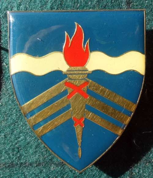 SADF Regiment Schoonspruit Flash .Pins Intact (35)
