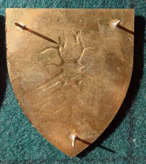 SADF Regiment Schoonspruit Flash .Pins Intact (35)