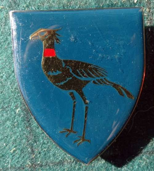 SADF Stormberg Commando Flash .Pins Intact (37)