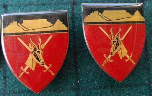 Pair of SADF Western Province Command  Pins Intact (3)