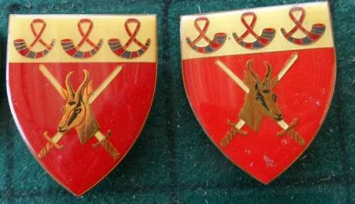 Pair of SADF Orange Free State Command  5 Pins Intact (6)