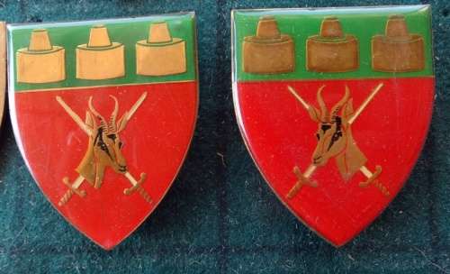 Pair Of SADFVariety  Witwatersrand  Command.  Pins Intact (9)
