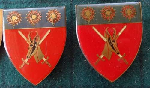 Pair Of SADF Northen Transvaal Command.  Pins Intact (10)