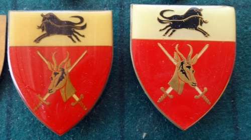 Pair Of SADF Natal Command.  Pins Intact (11)