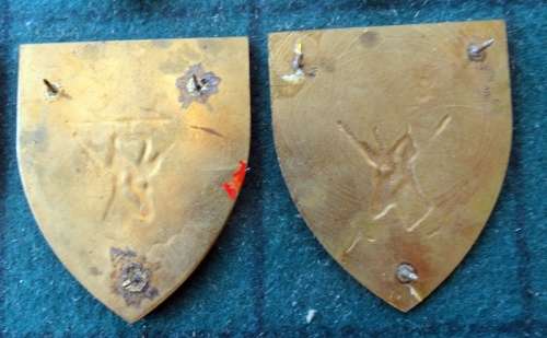 Pair Of SADF Natal Command.  Pins Intact (11)