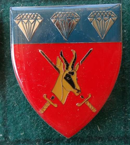 SADF Northen Cape Command. Pins Intact (13)