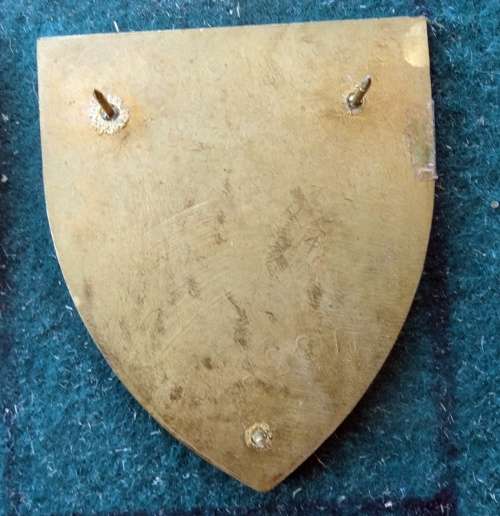 SADF Southern Cape Command. Pins Intact (14)