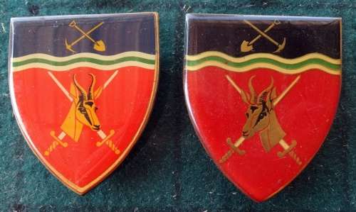 Pair of SADF North West Command. Pins Intact (15)