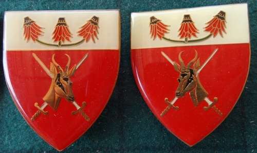 Pair of SADF Far North Command.5  Pins Intact (16)