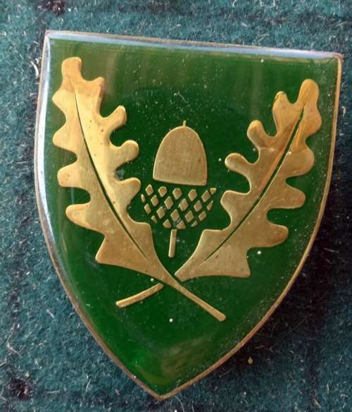 SADF University of Stellenbosch Flash.  Pins Intact (28)
