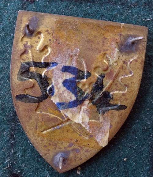SADF University of Stellenbosch Flash.  Pins Intact (28)