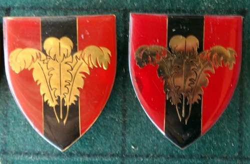 Pair of SADF Southern Cape Command Provost Unit Flash.  Pins Intact (44)