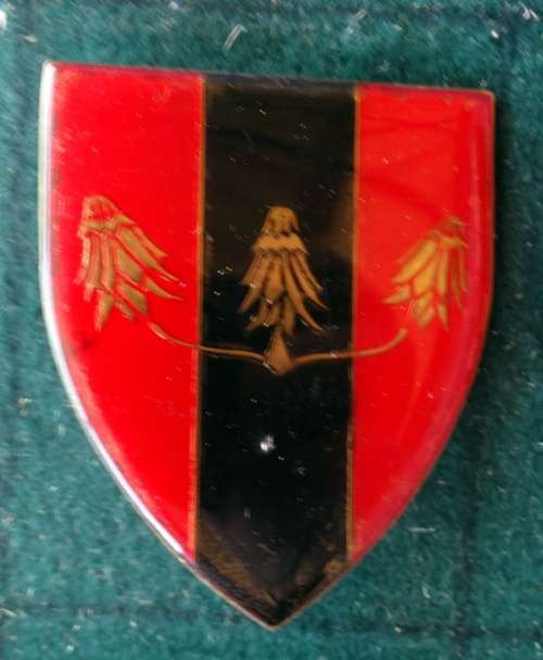 SADF Far North Command Provost Unit Flash.  Pins Intact (46)