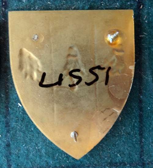 SADF Far North Command Provost Unit Flash.  Pins Intact (46)