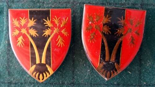 Pair of SADF Northen Logistics Command Provost Unit Flash.  Pins Intact (49)