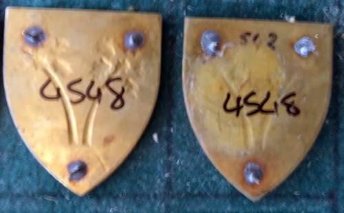 Pair of SADF Northen Logistics Command Provost Unit Flash.  Pins Intact (49)