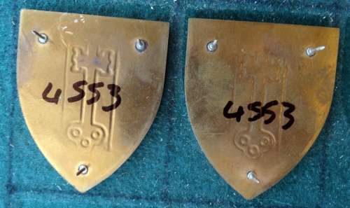 Pair of SADF Witwatersrand Command Detention Barracks Flash.  Pins Intact (50)