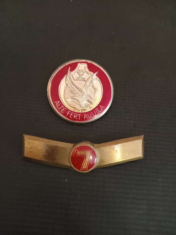 ABW Flash And Shoulder Title. Pins intact