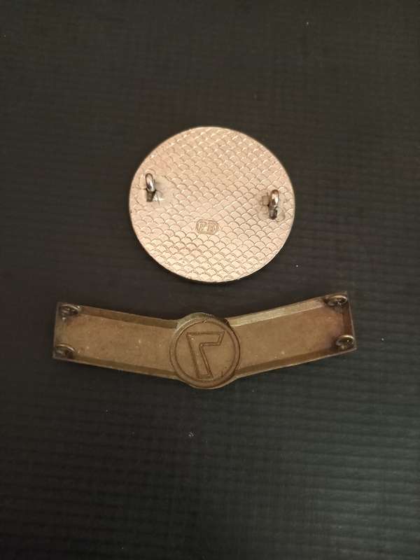 ABW Flash And Shoulder Title. Pins intact