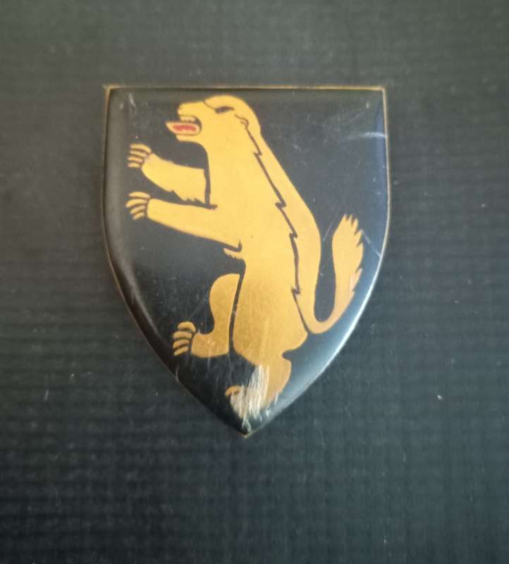 SADF 1 SAI Infantry Flash . Pins intact.