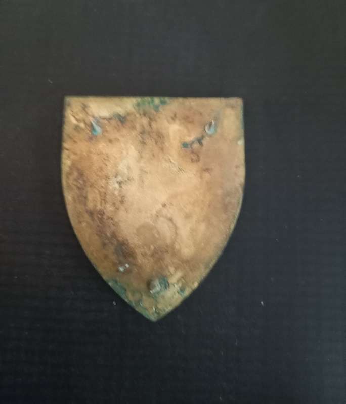 SADF 1 SAI Infantry Flash . Pins intact.