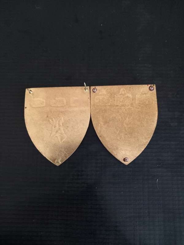 2 SADF Witwatersrand Command Shoulder Flash pins intact