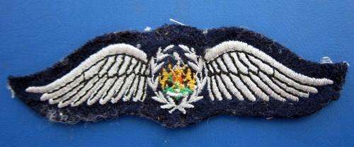 ## Airforce Pilot Wings ##