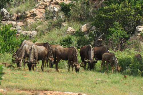 Midweek Stay at Crystal Springs in Mpumalanga - 02 to 6 December 2019
