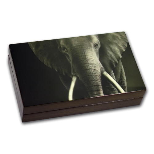 2019 Big 5 Elephant Double Capsule Proof Set (2 x 1 oz Silver Ag 999)